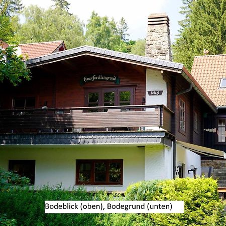 Ferienwohnungen Forellengrund เชียร์เคอ ภายนอก รูปภาพ